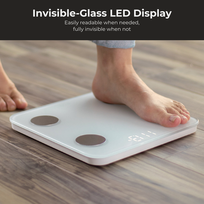 Qilo LED Pod™